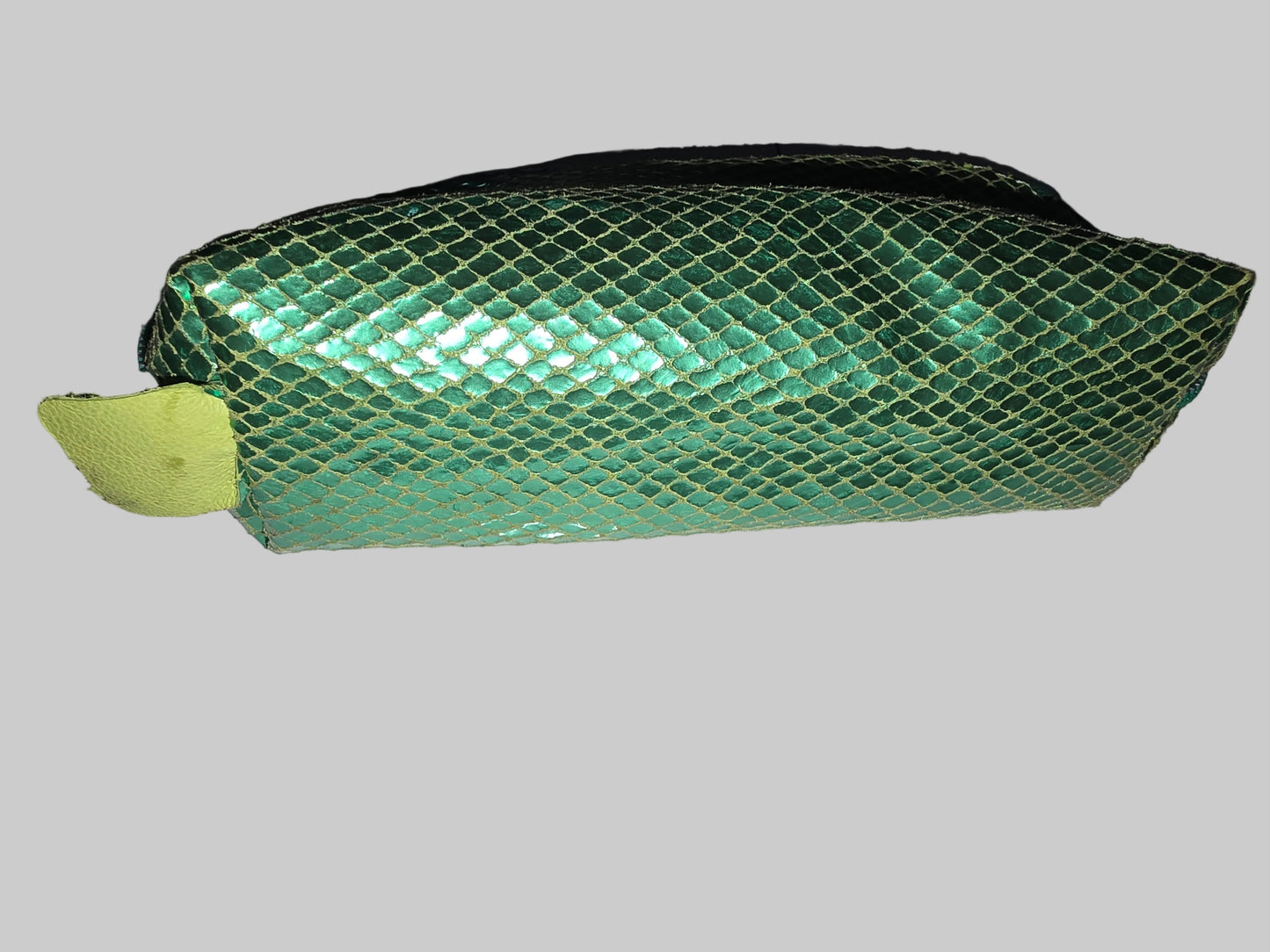 Pencil Case