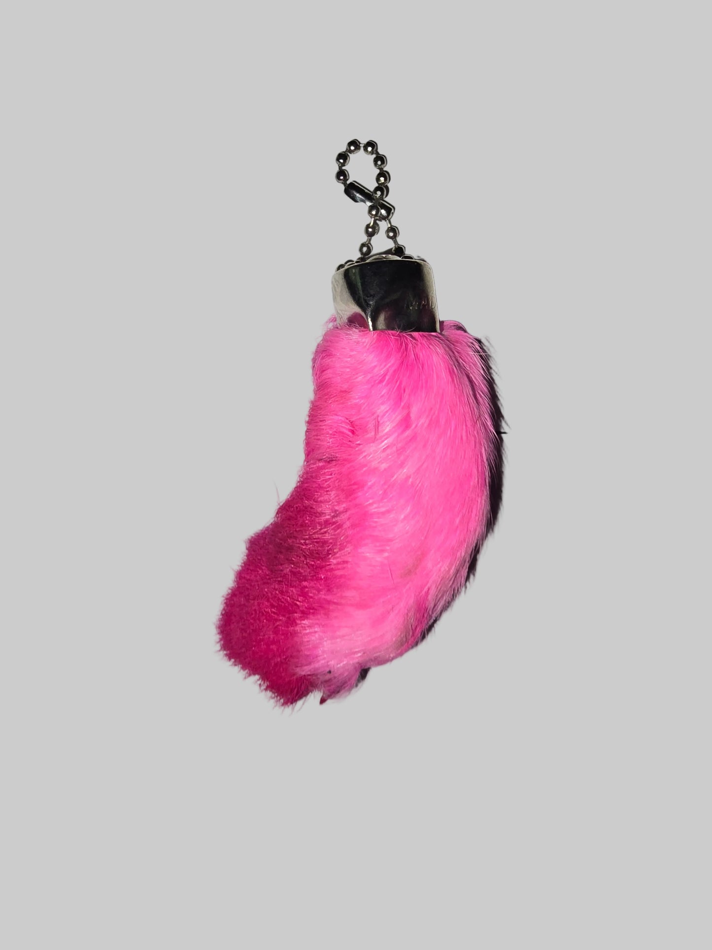 Rabbit's Foot