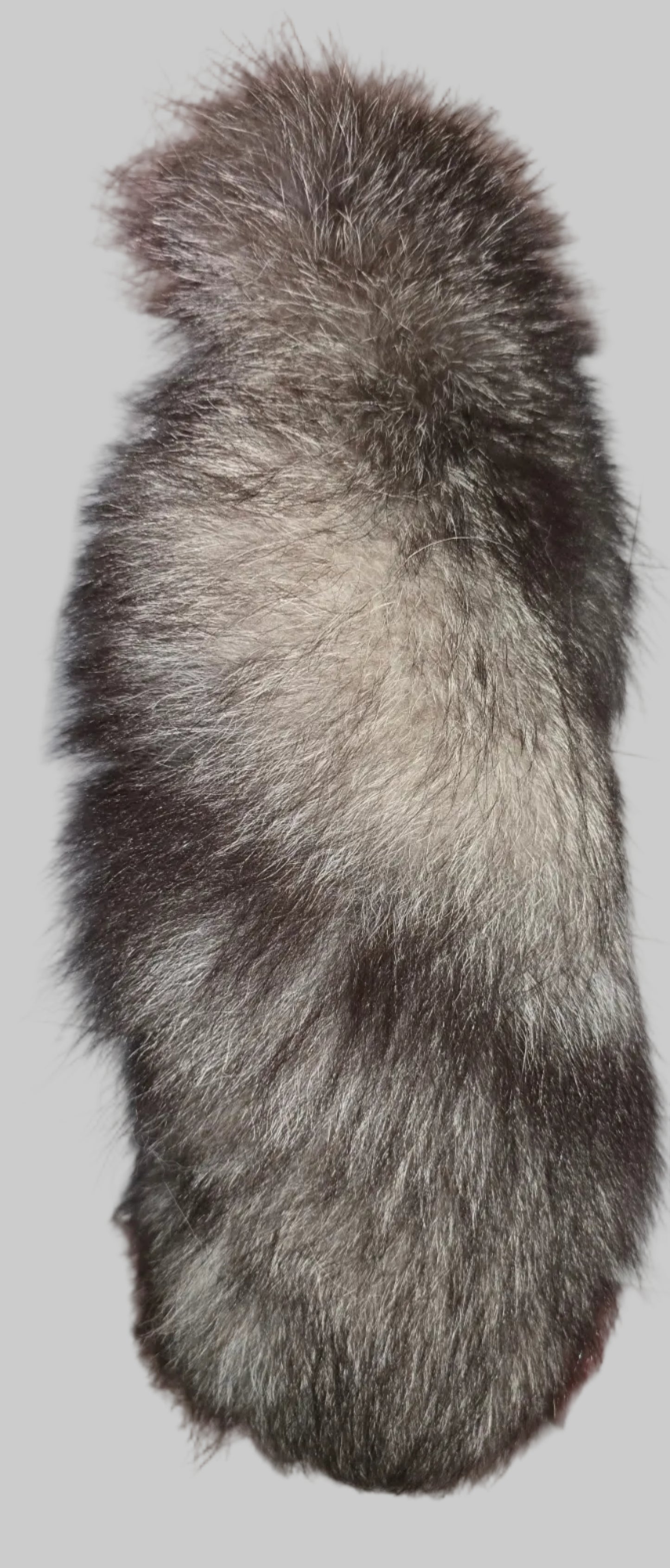 Fox Tails