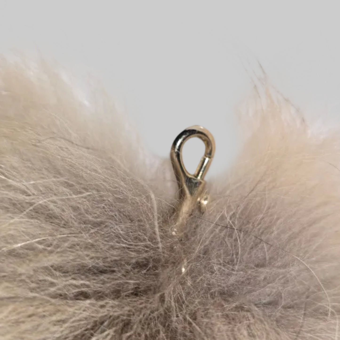 Fox Tails